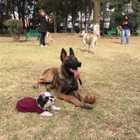 Photo taken at Parque y reunión de perros by Mafer S. on 1/24/2016