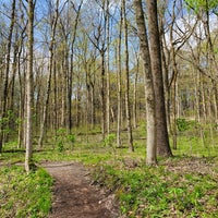 Photo taken at Fort Harrison State Park by Rob C. on 4/24/2020