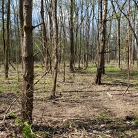 Photo taken at Walnut Plantation, Fort Harrison State Park by Rob C. on 4/24/2020