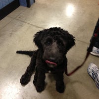 Petsmart 4 Tips From 549 Visitors