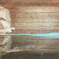 รูปภาพถ่ายที่ Crocodiles of the World โดย Andrew W. เมื่อ 5/3/2021