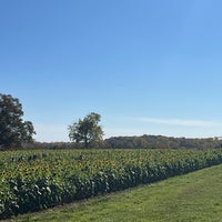 Photo taken at Alstede Farm by Lauren M. on 10/22/2022