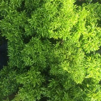 Pizza Hut No 283 Jalan Sultan Abdul Samad