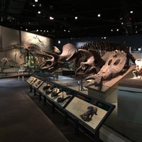 Photo taken at Hall Of Dinosaurs by SwINg P. on 5/4/2017
