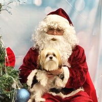 petco near kings plaza