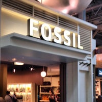 Fossil Outlet - 1 tip de 174 visitantes
