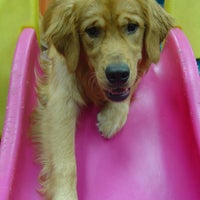 Photo taken at Dogtopia by Jeff L. on 9/21/2012