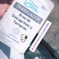 Sucursales