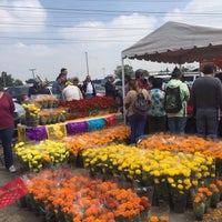 Photo taken at Mercado de Flores y Hortalizas CEDA by Loo P. on 10/23/2019