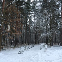 Photo taken at Нижний парк by Stasey on 1/11/2015