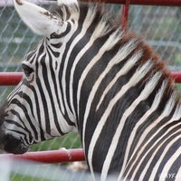 Foto tirada no(a) North Georgia Zoo &amp; Farm/ Wildlife Wonders- Zoo To You por Hope B. em 11/24/2014