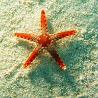 Pueblo Bonito Sunset Beach Resort & Spa - Cabo San Lucas, Baja