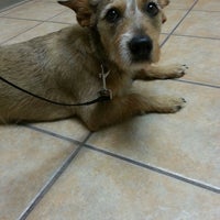 Creature Comforts Veterinary Hospital 3 Tips From 131 Visitors