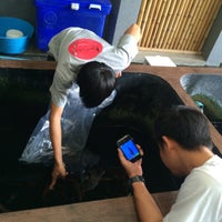 Photo taken at Koikichi Fish Farm by Faye Y. on 9/6/2014