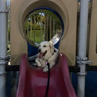 Photo taken at Begonia Playground by Audrey T. on 1/3/2023