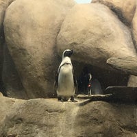 Photo taken at Penguin Tank by Ximena G. on 7/29/2018