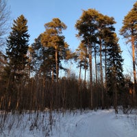 Photo taken at Черняевский лес by Антон М. on 3/19/2019