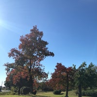 Photo taken at 朝宮公園 by R 8. on 11/24/2018