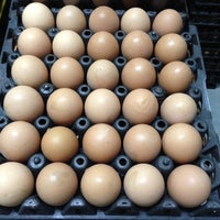 Photo taken at ร้านขายไข่สดจากฟาร์ม (ปลีก&amp;amp;ส่ง) by ✿“ꄬ❃˚ ᴺ ᵘ ᵀ ᶻ˚ ❃ꄬ”✿ on 12/15/2012