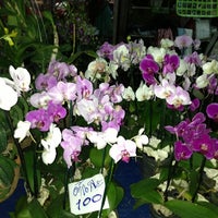 Photo taken at LukMai Orchid Nursery 1 (Thon Buri Market) ^^ by ✿“ꄬ❃˚ ᴺ ᵘ ᵀ ᶻ˚ ❃ꄬ”✿ on 12/8/2012