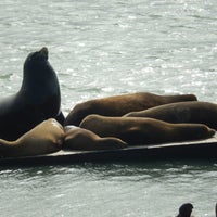 Photo taken at Sea Lions by Ticia A. on 5/9/2013
