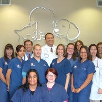 Beechnut Animal Hospital 8541 Beechnut St