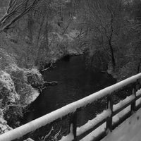 Photo taken at Bronx River Parkway by Markets of New York City on 2/11/2016