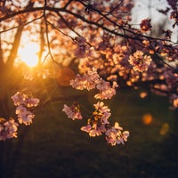 รูปภาพถ่ายที่ Japanse Tuin โดย Japanse Tuin เมื่อ 4/18/2018