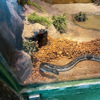 Photo taken at Siam Serpentarium by Pleng on 3/12/2023