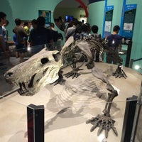 Photo taken at National Museum of Nature and Science by thirdfriend on 9/13/2015