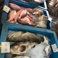 Ikan Segar Bagan Pasir Tanjung Karang