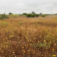 Photo taken at Ballona Wetlands by Devin B. on 5/28/2020