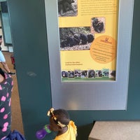 Photo taken at Regenstein Center for African Apes by Naely N. on 5/24/2021