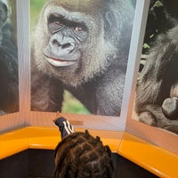 Photo taken at Regenstein Center for African Apes by Naely N. on 6/7/2022