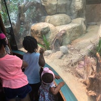 Photo taken at Regenstein Small Mammal &amp;amp; Reptile House by Naely N. on 7/14/2021