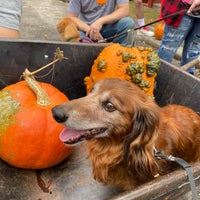 Photo taken at Burt&amp;#39;s Pumpkin Farm by Todd M. on 9/26/2020