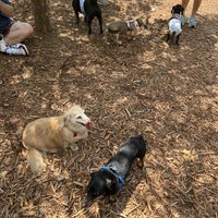 Photo taken at Piedmont Park Small Dog Park by Todd M. on 8/21/2022