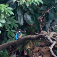 Photo taken at Meiji Jingu Gyoen by Usami T. on 10/8/2023