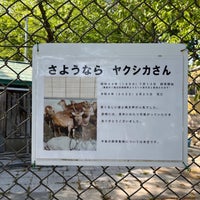 Photo taken at 函館公園 by ぬねの な. on 5/18/2023