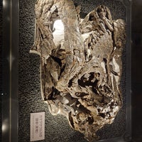 Photo taken at Fukui Prefectural Dinosaur Museum by Johnny K. on 3/22/2024