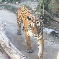 Photo taken at El Paso Zoo by j i m p. on 10/24/2021