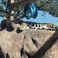 Снимок сделан в El Paso Zoo пользователем j i m p. 10/24/2021