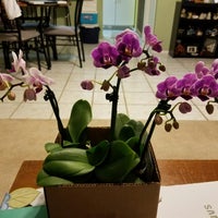 9/17/2016에 Denise R.님이 Sundance Orchids &amp; Bromeliads에서 찍은 사진