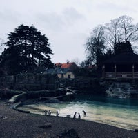 Photo taken at Flamingo Land by Zainab. on 3/12/2019