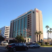 pasadena hilton los