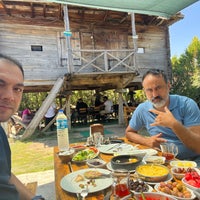 7/31/2022にDeniz A.がYayla Karadenizで撮った写真