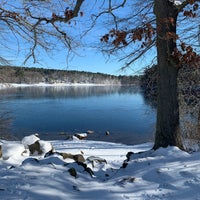 Photo taken at Houghton&amp;#39;s Pond by Lynn G. on 12/19/2020