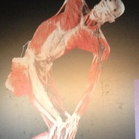 Photo taken at The Human Body Exhibition by Leniik on 10/20/2012