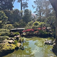 Photo taken at Japanese Tea Garden by Sheri M. on 2/28/2024