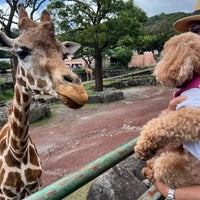 Photo taken at Izu Animal Kingdom by Shiena on 8/19/2023